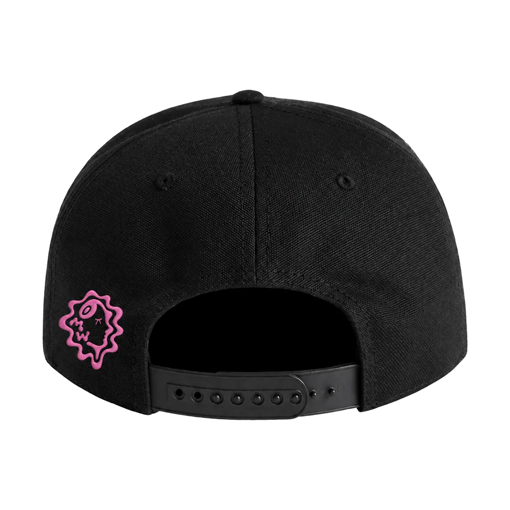 Mindwinder Metro Embroidered Snapback, back